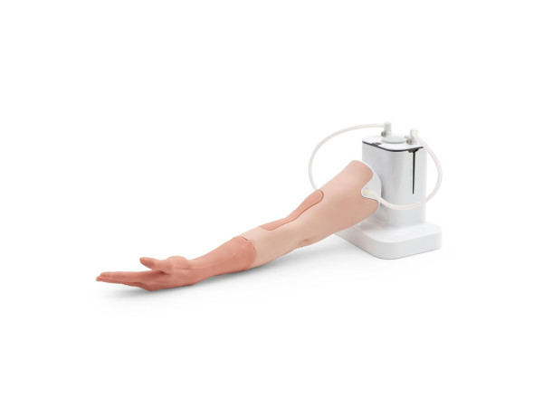 Trainingsarm voor infuus prikken en venapunctie