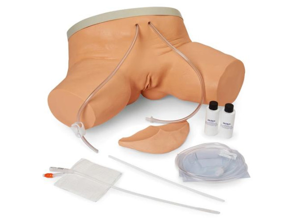 Katheterisatie Simulator, vrouwelijk