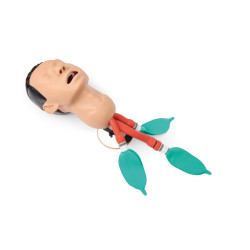 Airway Management Trainingsmodel