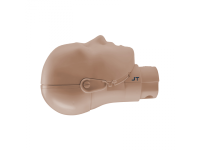Prestan Reanimatietorso Volwassene met Jaw-Thrust Hoofd en Feedbacksysteem