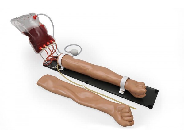 Multifunctionele Intraveneuze Injectie Trainingsarm