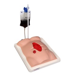 Fistel Vaardigheidstrainer