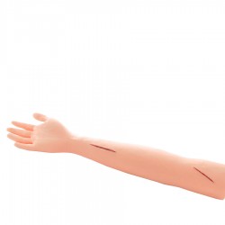 Oefenmodel Hechtingen Arm