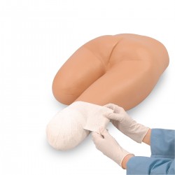 Onderlichaam Stomp Verband Trainer