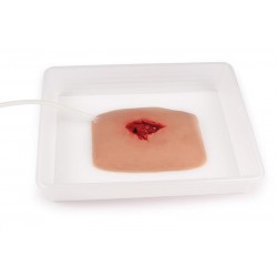 Wound Packing Wond Model