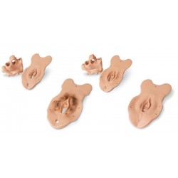 Aanvullingsset voor Bekkenonderzoek en Gynaecologie Model