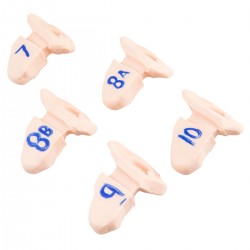 Aanvulset Oor Onderzoek Simulator