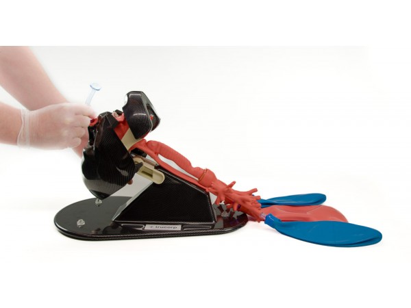 AirSim Bronchoscopie Trainer