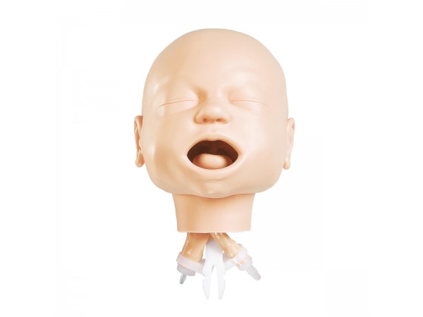 Airway Management Hoofd voor Simulatiepop Traumazorg Baby