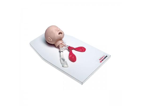 Airway Management Trainer Baby