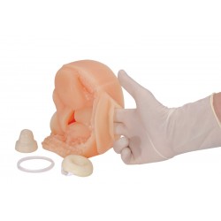 Anticonceptie Model Vrouw Anticonceptie Model Vrouw