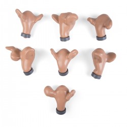 Baarmoeder Set, normaal en externe aandoeningen