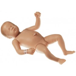 Babymodel Somso Meisje