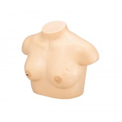 Borstkanker Palpatie Model