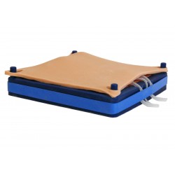 Castratie Trainer Hond