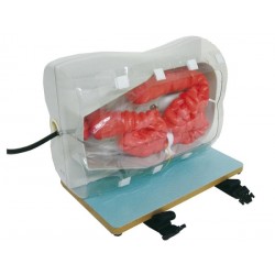 Colonoscopie Simulator