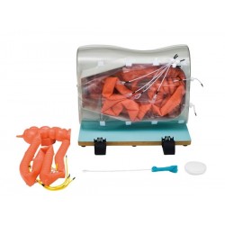 Dunne Darm voor Colonoscopie Simulator