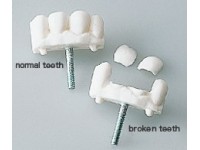 Endotracheale Intubatie Simulator