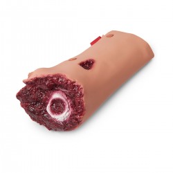 Geamputeerd Been voor Wondsimulatie Geamputeerd Been voor Wondsimulatie