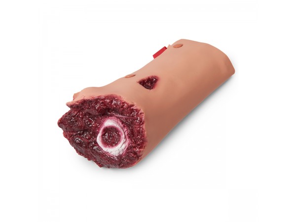 Geamputeerd Been voor Wondsimulatie