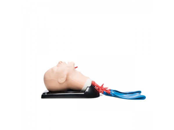 Geavanceerde AirSim Bronchoscopie Trainer