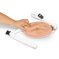 Geavanceerd Injectie Buik Model