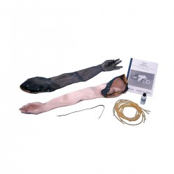 Huid en Aders voor Venapunctie Injectie Arm Huid en Aders voor Venapunctie Injectie Arm