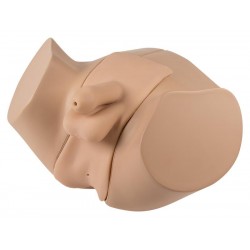 Katheterisatie en Klysma Simulator Man