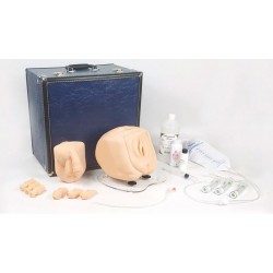 Katheterisatie Trainer Man/Vrouw met Suprapubische Toegang Katheterisatie Trainer Man/Vrouw met Suprapubische Toegang