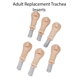 Luchtpijpen voor Uitgebreide Coniotomie Simulator (Set van 6 stuks)