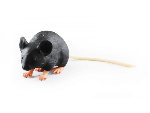 Muis Oefenmodel