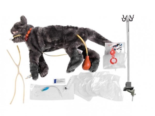 Oefenmodel Acute Zorg Kat