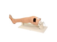 Oefenmodel Arterieel Vaatlijden Oefenmodel Arterieel Vaatlijden