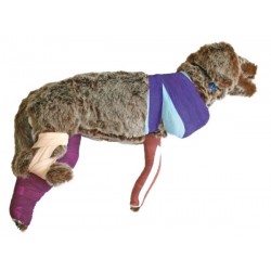 Oefenmodel Bandage Hond