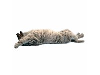 Oefenmodel Positionering Hond