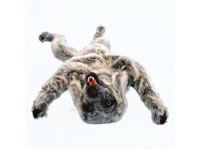 Oefenmodel Positionering Hond