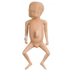 Oefenpop Premature Baby Somso Jongen