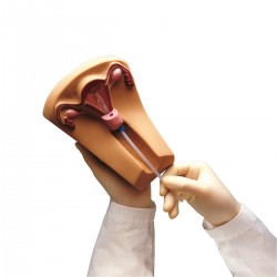 Plaatsing Spiraaltje Trainer  - IUD trainer