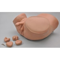 Uitgebreid Prostaat Onderzoek Model