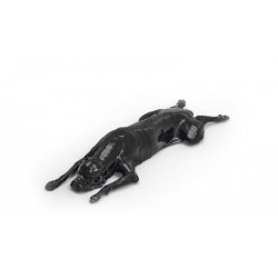 Simulatiemodel Hond voor CT- en Röntgenscans