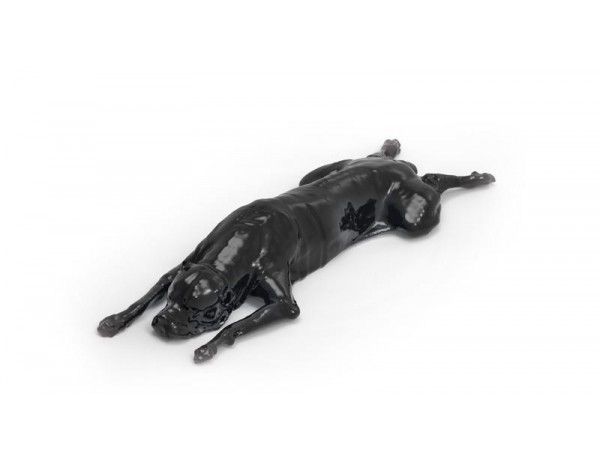Simulatiemodel Hond voor CT- en Röntgenscans