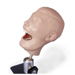 Tandheelkundig Trainingsmodel