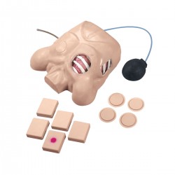 Thoraxdrainage Oefenpop