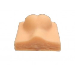 Trainingsmodel Castratie Hond