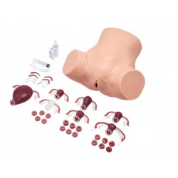 Uitgebreide Gynaecologische Vaardigheidstrainer