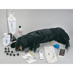 Uitgebreide Reanimatie Trainer Hond