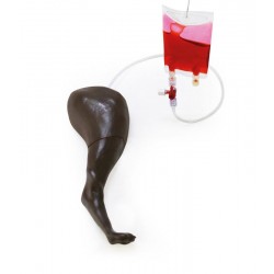 Venapunctie & Injectie Trainer Hond