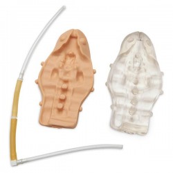 Vervangingsset voor Caudale Injectie Simulator Kind