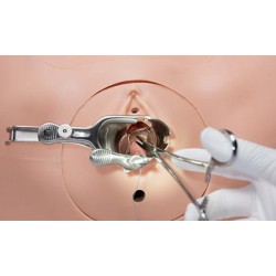 Vulva met geïntegreerde fistels voor Uitgebreide Gynaecologische Vaardigheidstrainer