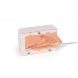 Swab Test Trainingsmodel, Basis